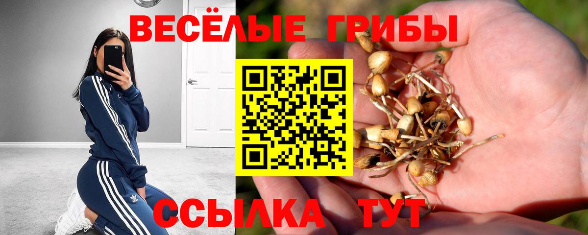 Галлюциногенные грибы прущие грибы  цены наркотик  Киржач  Вход с VPN 